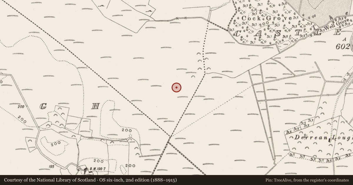 Ordnance Survey six-inch map, 2nd edition (1888–1915) covering the location of Road - class 3 togher, Killaghintober, County Offaly, with a pin at the register's coordinates