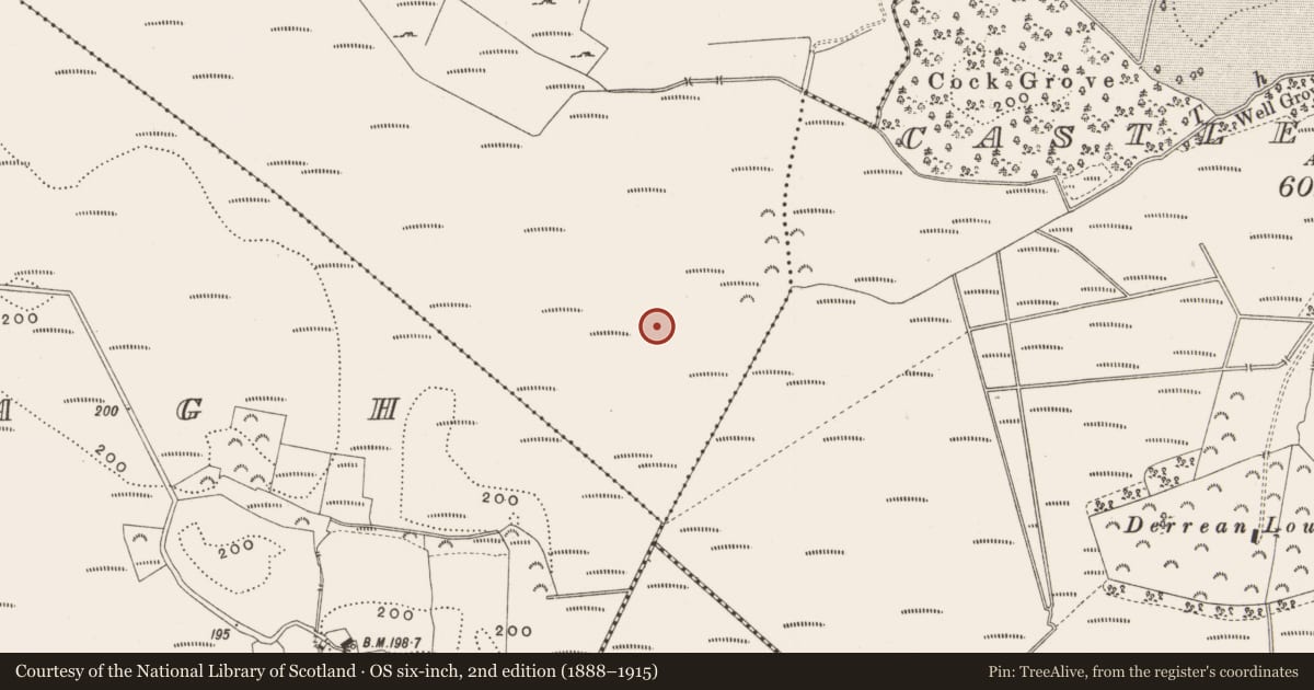 Ordnance Survey six-inch map, 2nd edition (1888–1915) covering the location of Structure - peatland, Killaghintober, County Offaly, with a pin at the register's coordinates
