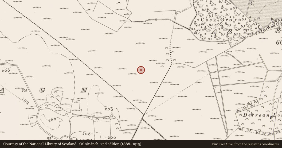 Ordnance Survey six-inch map, 2nd edition (1888–1915) covering the location of Road - class 3 togher, Killaghintober, County Offaly, with a pin at the register's coordinates