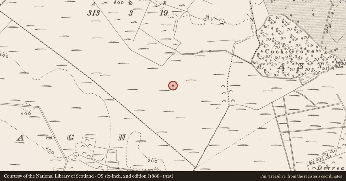 Ordnance Survey six-inch map, 2nd edition (1888–1915) covering the location of Structure - peatland, Killaghintober, County Offaly, with a pin at the register's coordinates