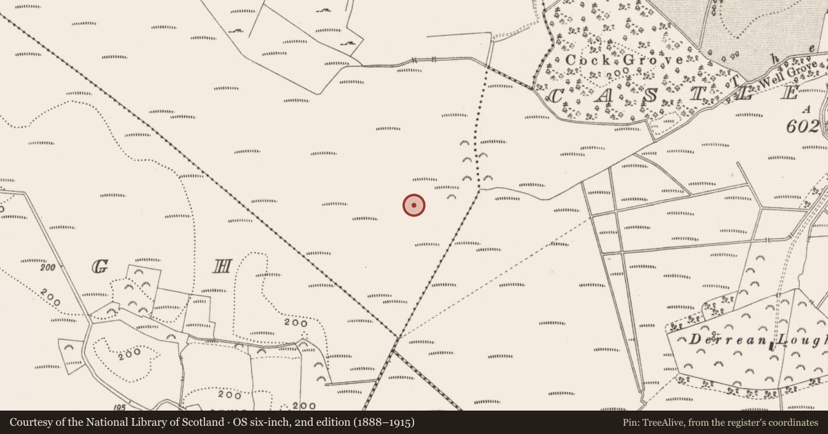 Ordnance Survey six-inch map, 2nd edition (1888–1915) covering the location of Structure - peatland, Killaghintober, County Offaly, with a pin at the register's coordinates