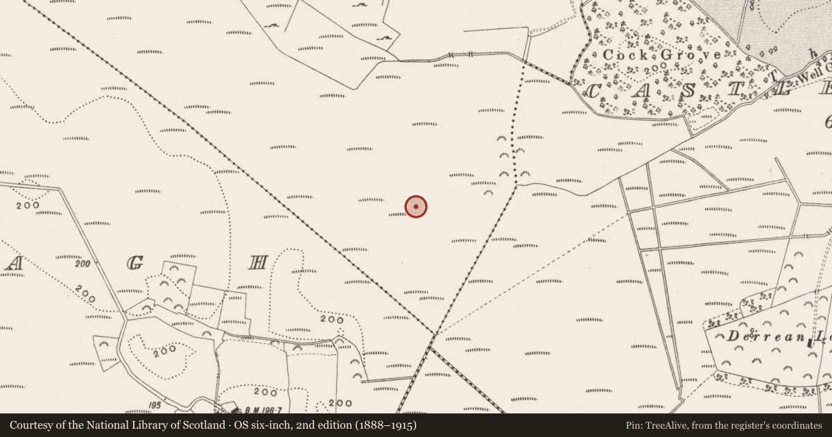 Ordnance Survey six-inch map, 2nd edition (1888–1915) covering the location of Road - class 3 togher, Killaghintober, County Offaly, with a pin at the register's coordinates