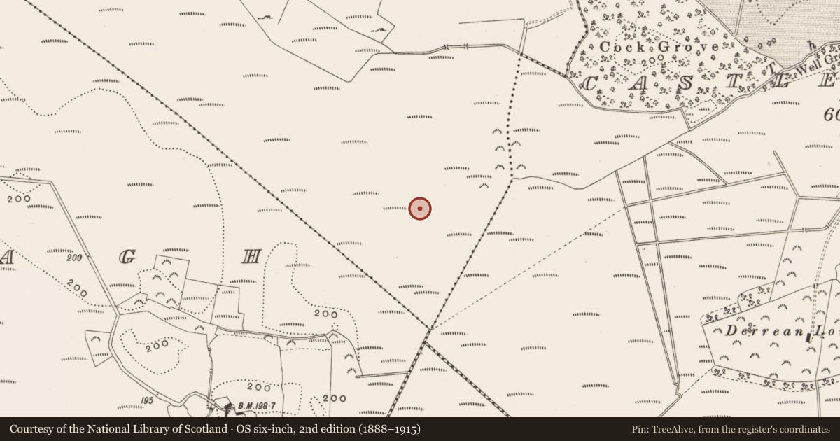 Ordnance Survey six-inch map, 2nd edition (1888–1915) covering the location of Road - class 3 togher, Killaghintober, County Offaly, with a pin at the register's coordinates