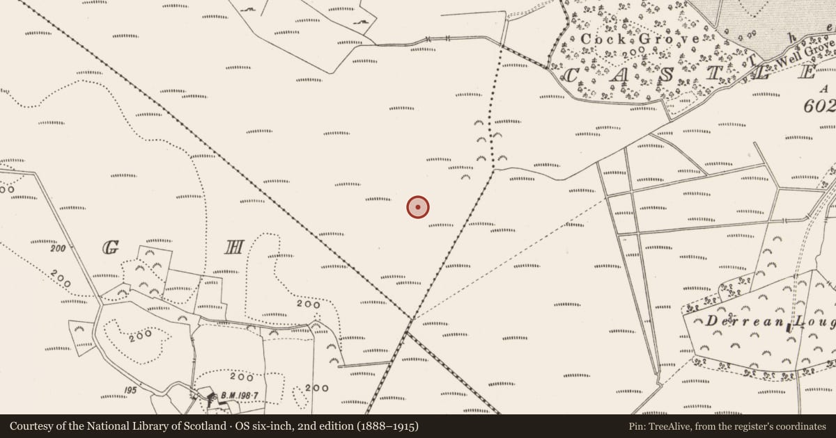 Ordnance Survey six-inch map, 2nd edition (1888–1915) covering the location of Structure - peatland, Killaghintober, County Offaly, with a pin at the register's coordinates