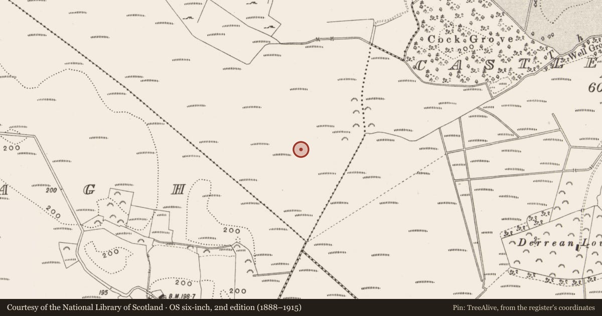 Ordnance Survey six-inch map, 2nd edition (1888–1915) covering the location of Road - class 3 togher, Killaghintober, County Offaly, with a pin at the register's coordinates
