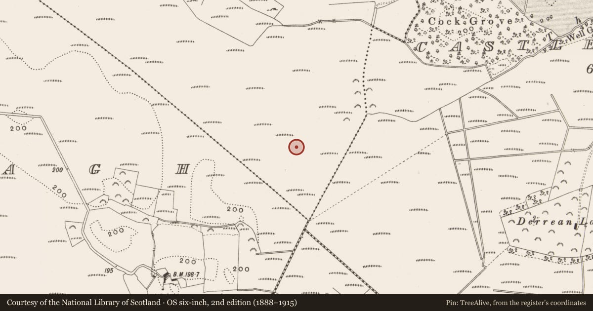 Ordnance Survey six-inch map, 2nd edition (1888–1915) covering the location of Road - class 3 togher, Killaghintober, County Offaly, with a pin at the register's coordinates