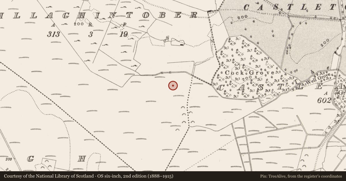 Ordnance Survey six-inch map, 2nd edition (1888–1915) covering the location of Structure - peatland, Killaghintober, County Offaly, with a pin at the register's coordinates