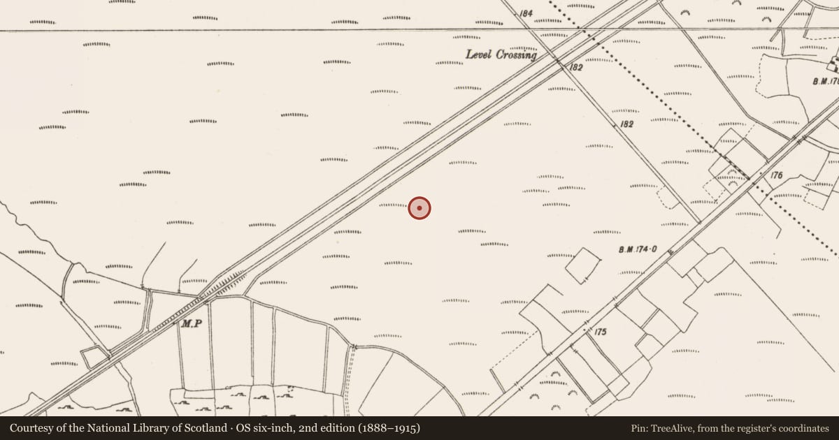 Ordnance Survey six-inch map, 2nd edition (1888–1915) covering the location of Structure - peatland, Leabeg, County Offaly, with a pin at the register's coordinates