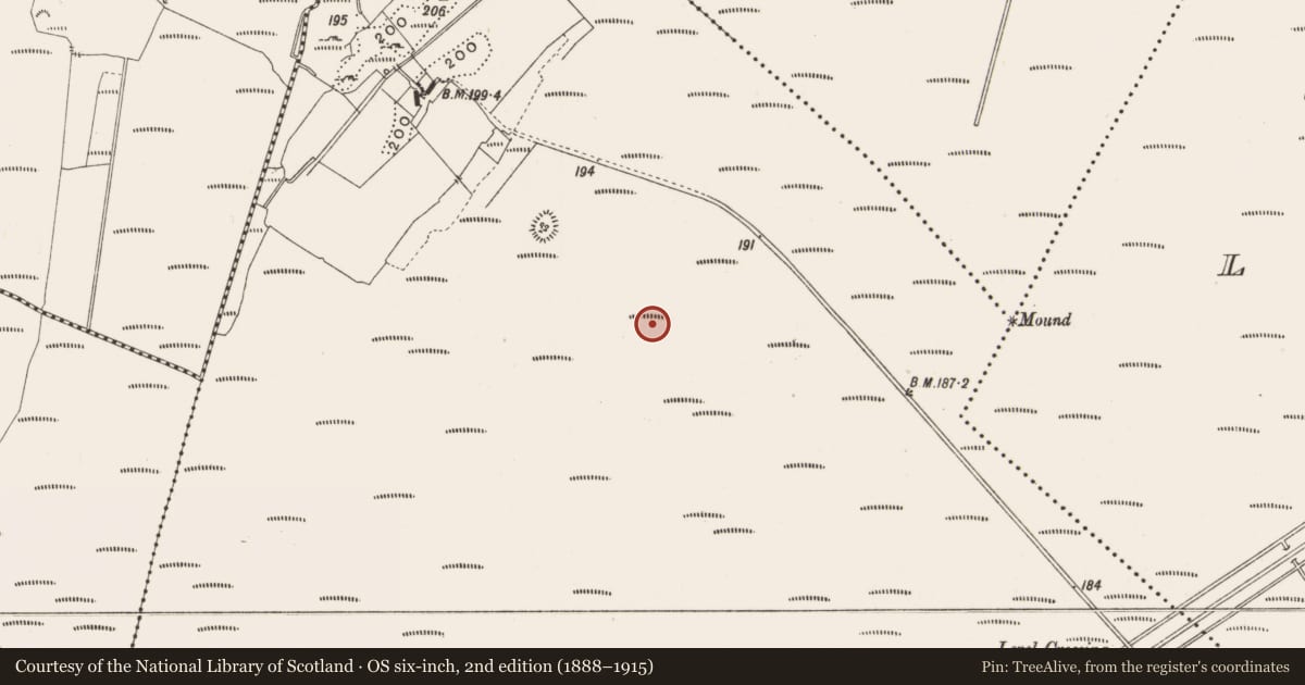 Ordnance Survey six-inch map, 2nd edition (1888–1915) covering the location of Structure - peatland, Lemanaghan, County Offaly, with a pin at the register's coordinates