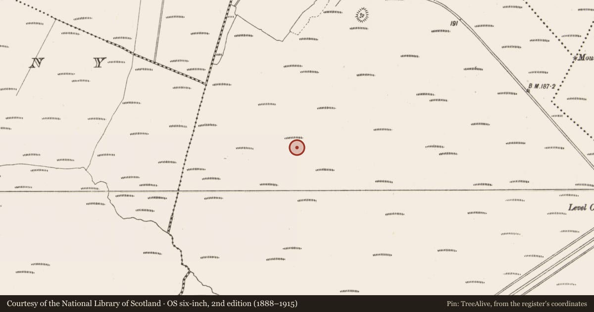 Ordnance Survey six-inch map, 2nd edition (1888–1915) covering the location of Road - class 1 togher, Lemanaghan, County Offaly, with a pin at the register's coordinates