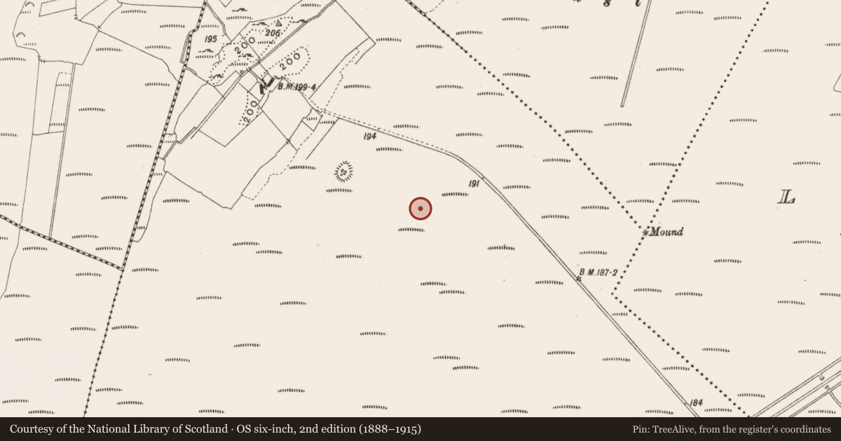 Ordnance Survey six-inch map, 2nd edition (1888–1915) covering the location of Structure - peatland, Lemanaghan, County Offaly, with a pin at the register's coordinates