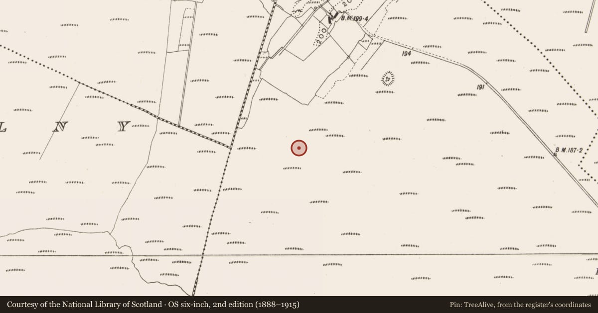 Ordnance Survey six-inch map, 2nd edition (1888–1915) covering the location of Road - class 3 togher, Lemanaghan, County Offaly, with a pin at the register's coordinates