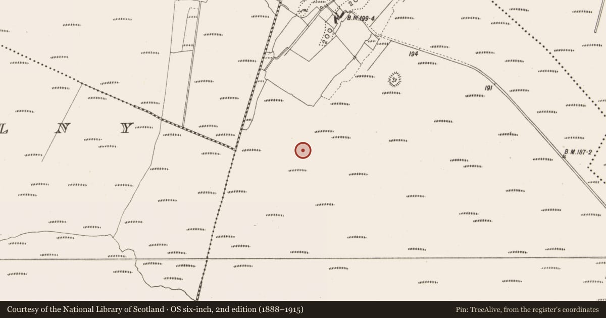Ordnance Survey six-inch map, 2nd edition (1888–1915) covering the location of Road - class 3 togher, Lemanaghan, County Offaly, with a pin at the register's coordinates