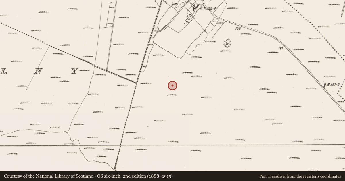 Ordnance Survey six-inch map, 2nd edition (1888–1915) covering the location of Road - class 3 togher, Lemanaghan, County Offaly, with a pin at the register's coordinates