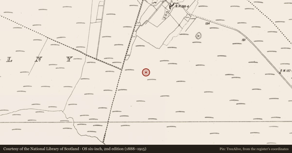 Ordnance Survey six-inch map, 2nd edition (1888–1915) covering the location of Structure - peatland, Lemanaghan, County Offaly, with a pin at the register's coordinates