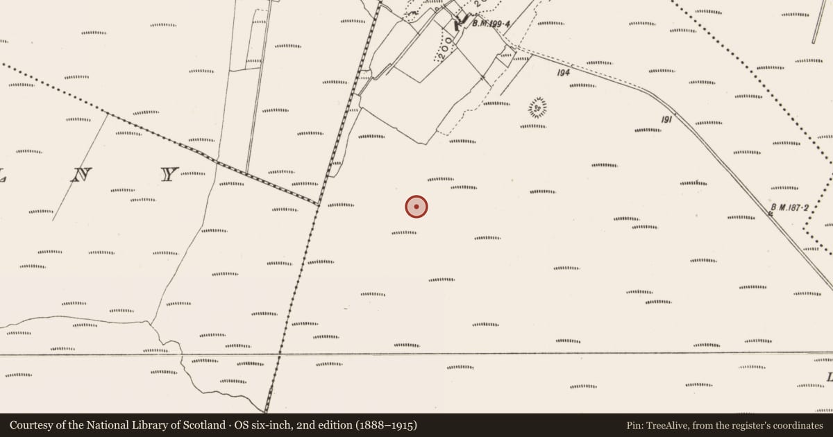 Ordnance Survey six-inch map, 2nd edition (1888–1915) covering the location of Road - class 2 togher, Lemanaghan, County Offaly, with a pin at the register's coordinates