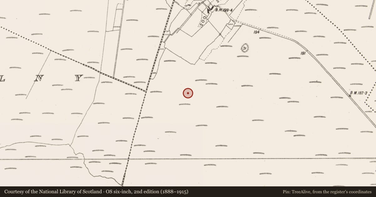 Ordnance Survey six-inch map, 2nd edition (1888–1915) covering the location of Road - class 3 togher, Lemanaghan, County Offaly, with a pin at the register's coordinates