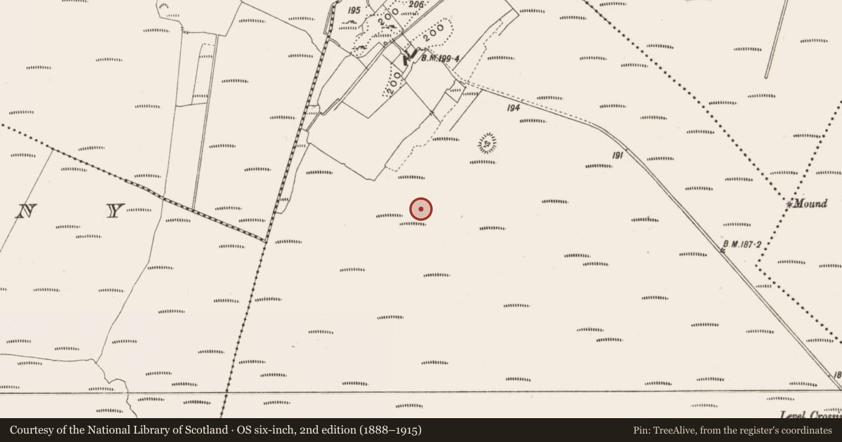 Ordnance Survey six-inch map, 2nd edition (1888–1915) covering the location of Structure - peatland, Lemanaghan, County Offaly, with a pin at the register's coordinates