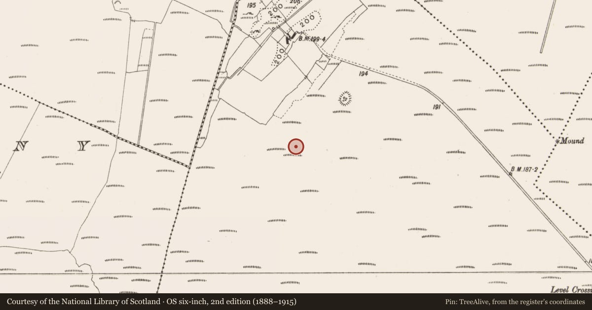 Ordnance Survey six-inch map, 2nd edition (1888–1915) covering the location of Structure - peatland, Lemanaghan, County Offaly, with a pin at the register's coordinates