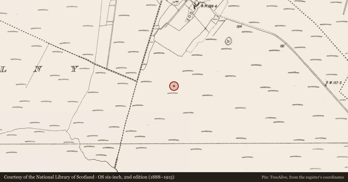 Ordnance Survey six-inch map, 2nd edition (1888–1915) covering the location of Road - class 2 togher, Lemanaghan, County Offaly, with a pin at the register's coordinates