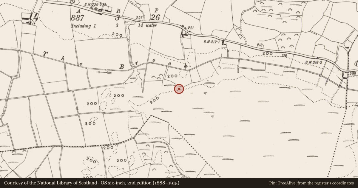 Ordnance Survey six-inch map, 2nd edition (1888–1915) covering the location of Road - class 2 togher, Cooldorragh, County Offaly, with a pin at the register's coordinates