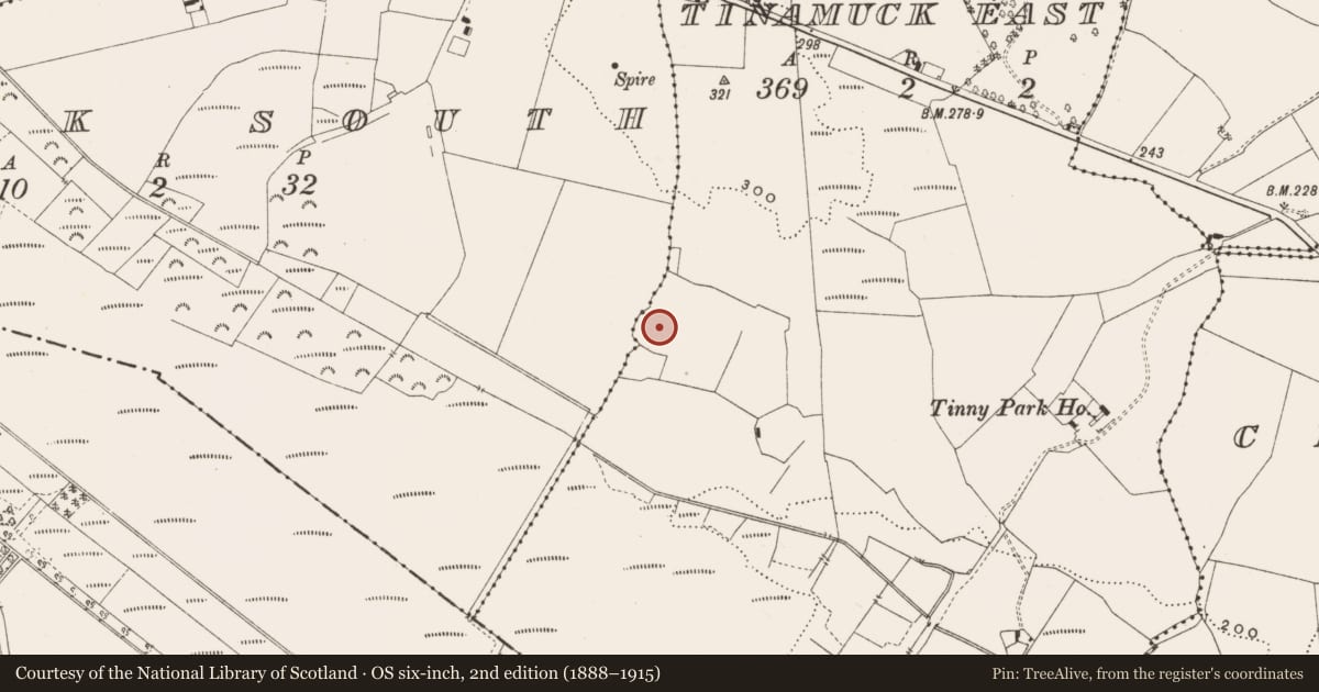 Ordnance Survey six-inch map, 2nd edition (1888–1915) covering the location of Enclosure - large enclosure, Tinamuck East, County Offaly, with a pin at the register's coordinates