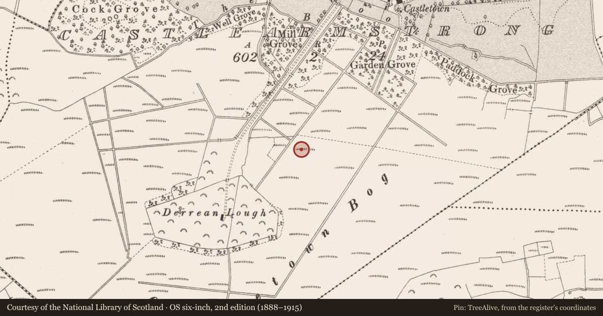 Ordnance Survey six-inch map, 2nd edition (1888–1915) covering the location of Road - class 3 togher, Castlearmstrong, County Offaly, with a pin at the register's coordinates