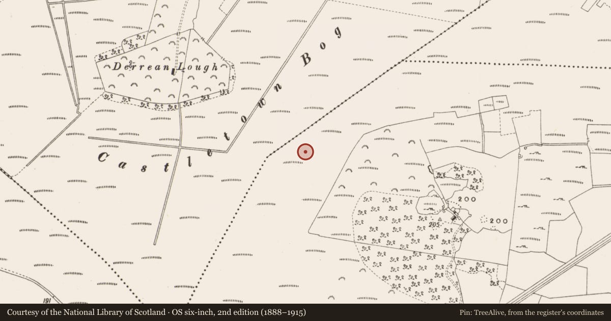 Ordnance Survey six-inch map, 2nd edition (1888–1915) covering the location of Platform - peatland, Lea Beg, County Offaly, with a pin at the register's coordinates