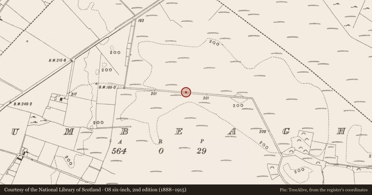 Ordnance Survey six-inch map, 2nd edition (1888–1915) covering the location of Road - gravel/stone trackway - peatland, Tumbeagh, County Offaly, with a pin at the register's coordinates