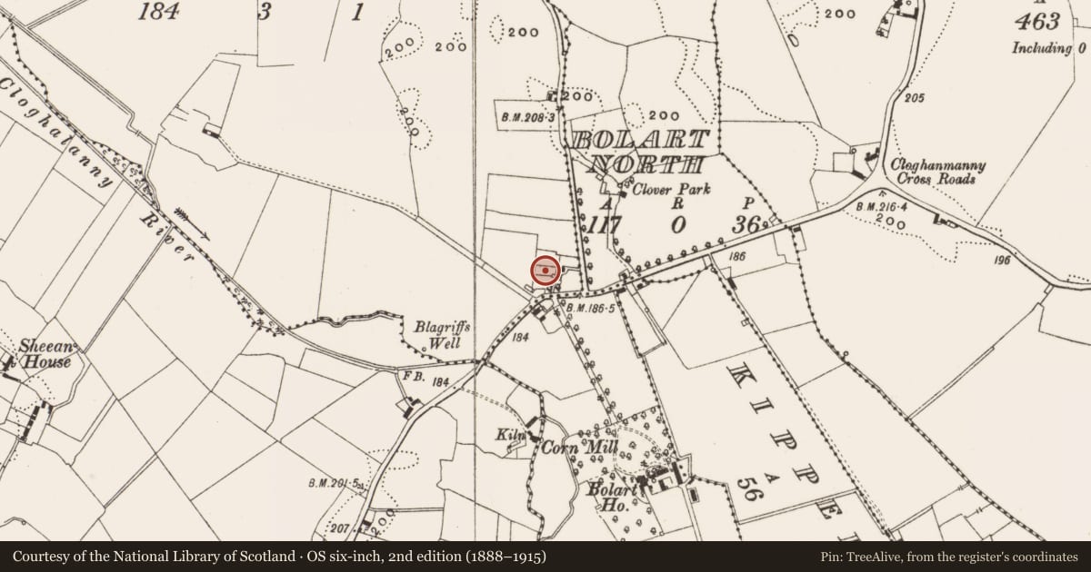 Ordnance Survey six-inch map, 2nd edition (1888–1915) covering the location of Standing stone, Greenville Or Garryduff, County Offaly, with a pin at the register's coordinates