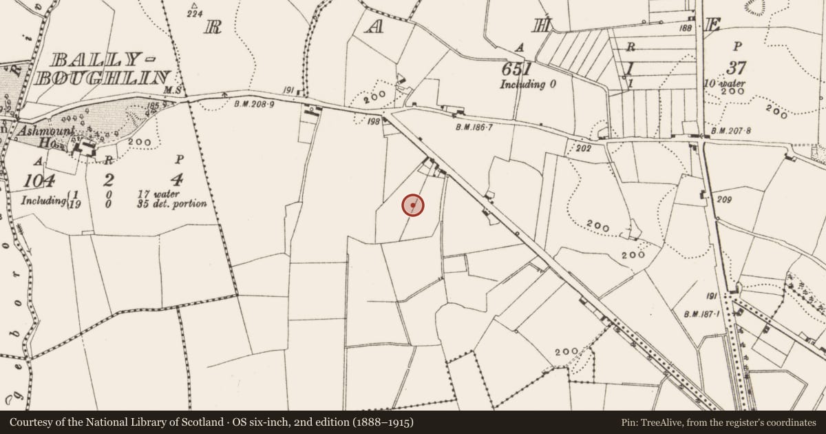 Ordnance Survey six-inch map, 2nd edition (1888–1915) covering the location of Enclosure, Raheen, County Offaly, with a pin at the register's coordinates