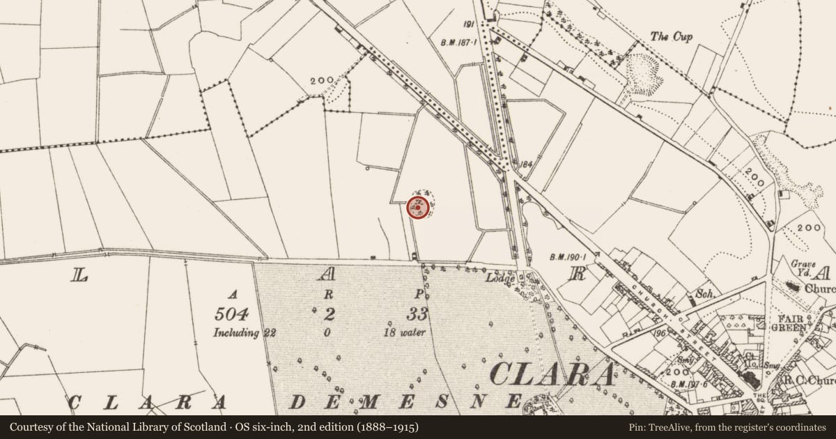 Ordnance Survey six-inch map, 2nd edition (1888–1915) covering the location of Designed landscape - tree-ring, Clara, County Offaly, with a pin at the register's coordinates