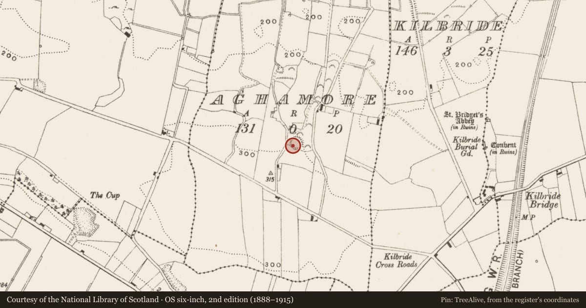Ordnance Survey six-inch map, 2nd edition (1888–1915) covering the location of Ringfort - rath, Aghamore, County Offaly, with a pin at the register's coordinates