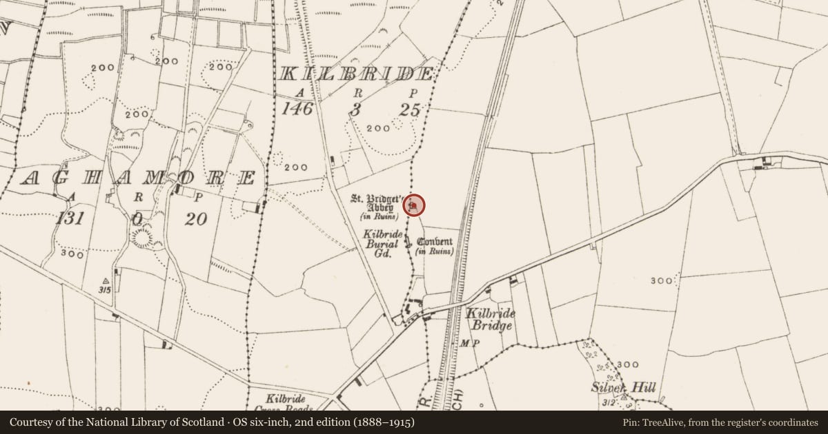 Ordnance Survey six-inch map, 2nd edition (1888–1915) covering the location of Church, Kilbride, Lissanisky, County Offaly, with a pin at the register's coordinates