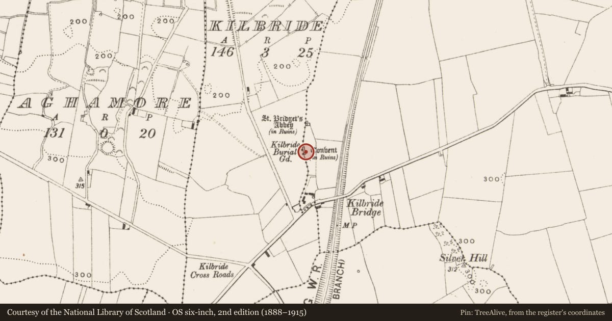 Ordnance Survey six-inch map, 2nd edition (1888–1915) covering the location of Religious house nunnery - unclassified, Kilbride, Lissanisky, County Offaly, with a pin at the register's coordinates