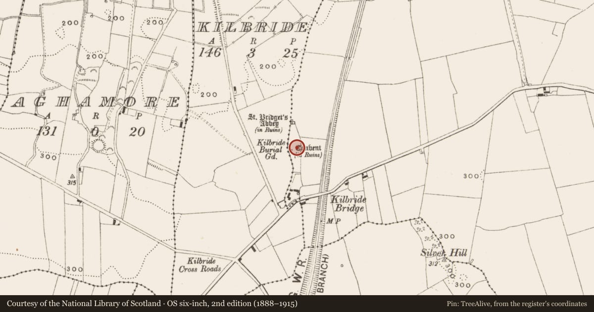 Ordnance Survey six-inch map, 2nd edition (1888–1915) covering the location of Graveyard, Kilbride, Lissanisky, County Offaly, with a pin at the register's coordinates