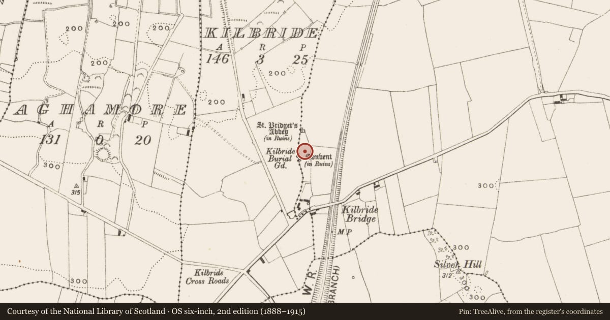 Ordnance Survey six-inch map, 2nd edition (1888–1915) covering the location of Church, Kilbride, Lissanisky, County Offaly, with a pin at the register's coordinates
