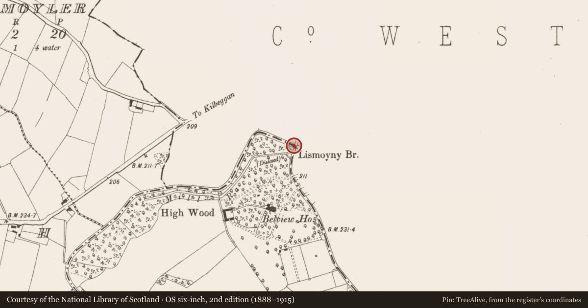 Ordnance Survey six-inch map, 2nd edition (1888–1915) covering the location of Bridge, Kilclare, County Offaly, with a pin at the register's coordinates