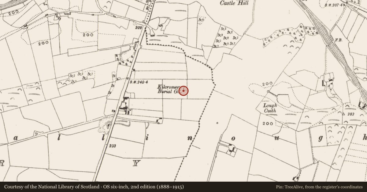 Ordnance Survey six-inch map, 2nd edition (1888–1915) covering the location of Children's burial ground, Erry (Armstrong), County Offaly, with a pin at the register's coordinates
