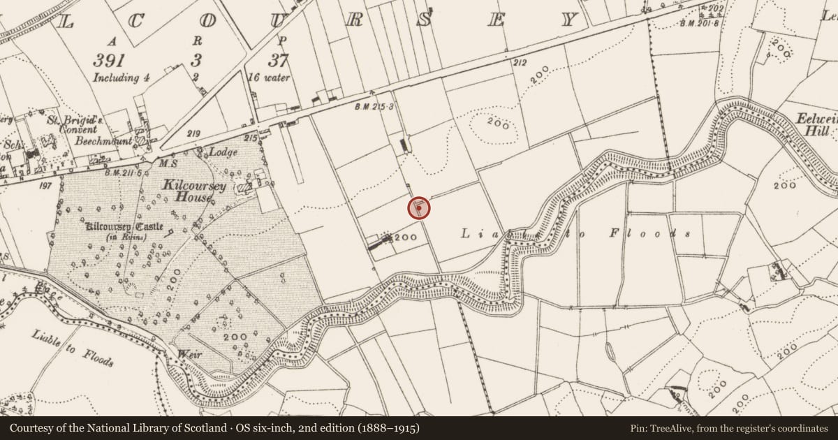 Ordnance Survey six-inch map, 2nd edition (1888–1915) covering the location of Enclosure, Kilcoursey, County Offaly, with a pin at the register's coordinates