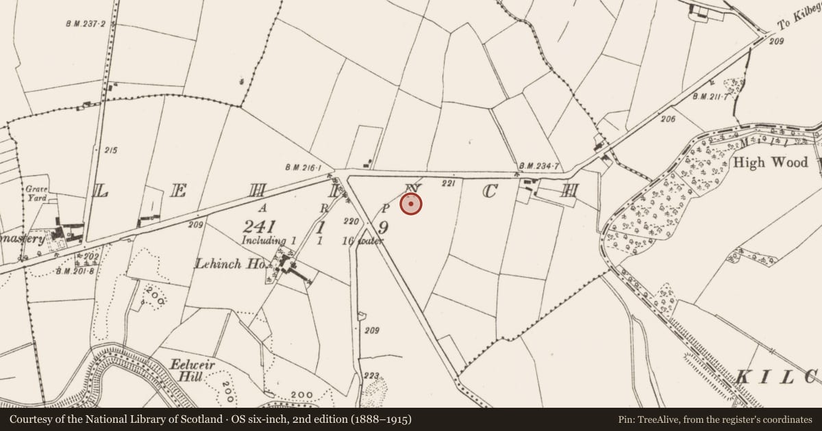 Ordnance Survey six-inch map, 2nd edition (1888–1915) covering the location of Ring-ditch, Lehinch, County Offaly, with a pin at the register's coordinates