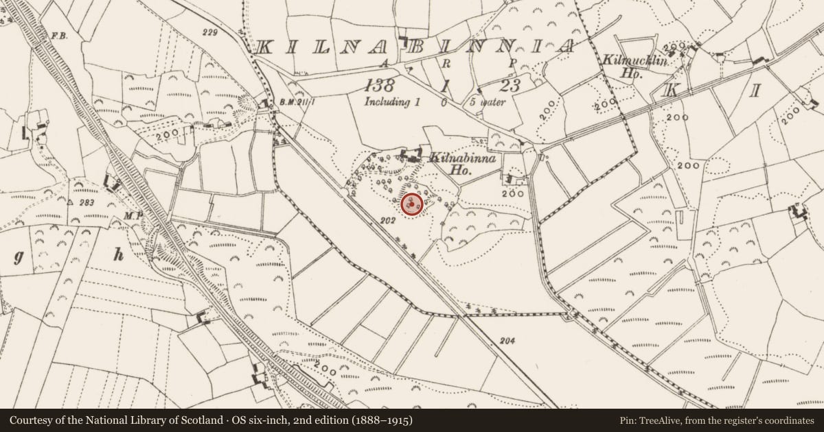 Ordnance Survey six-inch map, 2nd edition (1888–1915) covering the location of Designed landscape feature, Kilnabinnia, County Offaly, with a pin at the register's coordinates