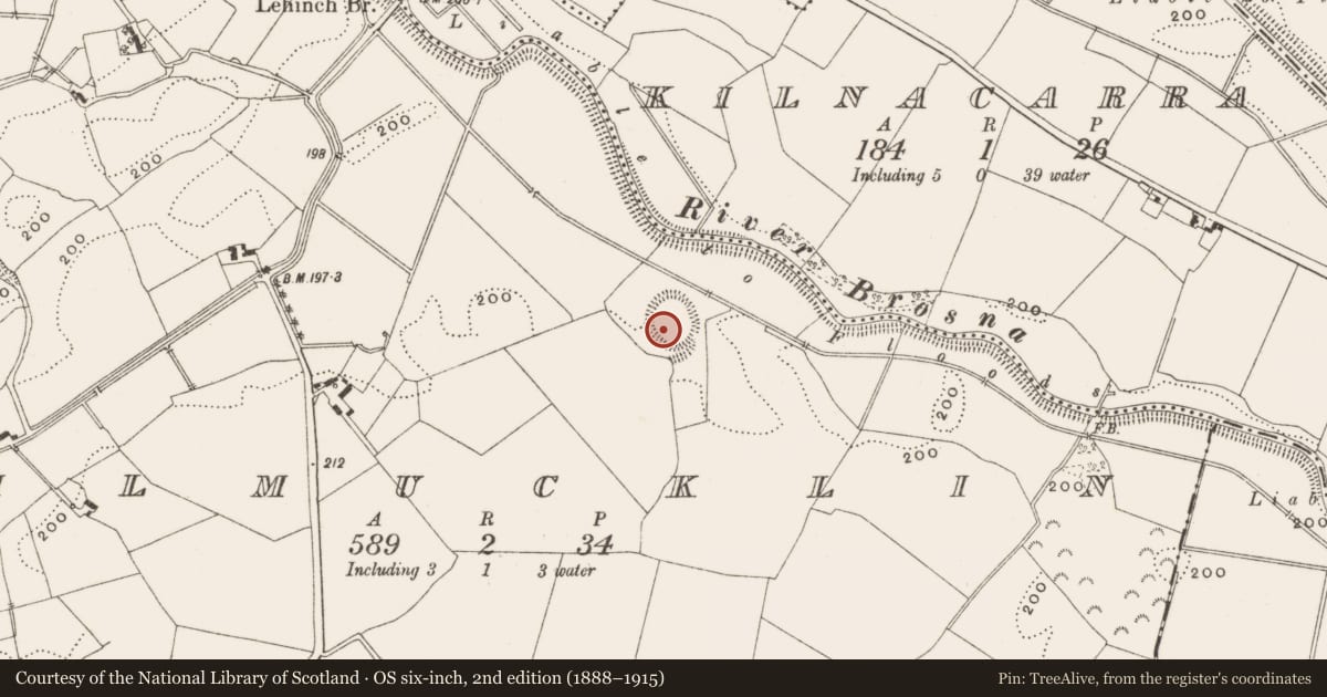 Ordnance Survey six-inch map, 2nd edition (1888–1915) covering the location of Ringfort - rath, Kilmucklin, County Offaly, with a pin at the register's coordinates