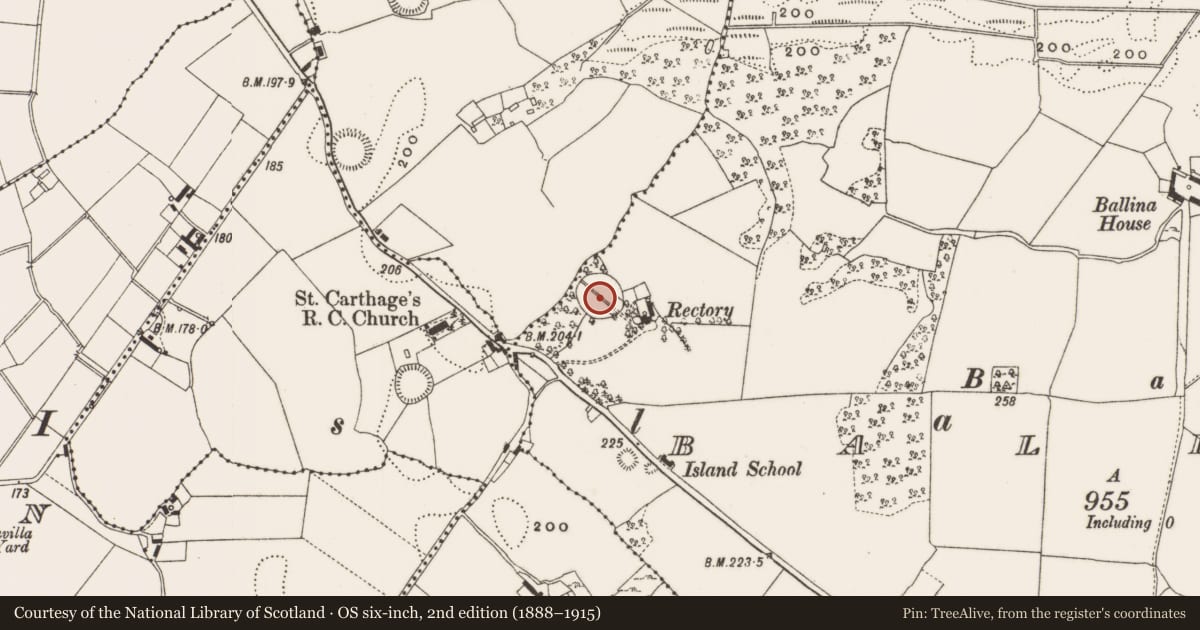 Ordnance Survey six-inch map, 2nd edition (1888–1915) covering the location of Ringfort - rath, Ballina, County Offaly, with a pin at the register's coordinates