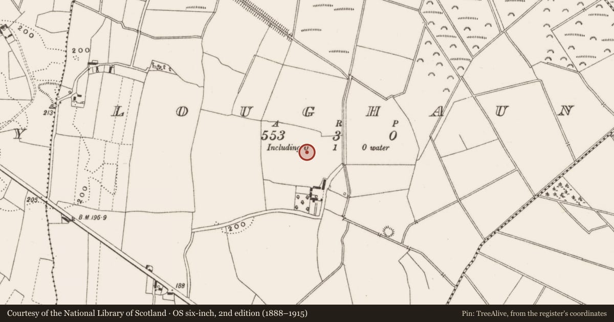 Ordnance Survey six-inch map, 2nd edition (1888–1915) covering the location of Enclosure, Loughaun, County Offaly, with a pin at the register's coordinates