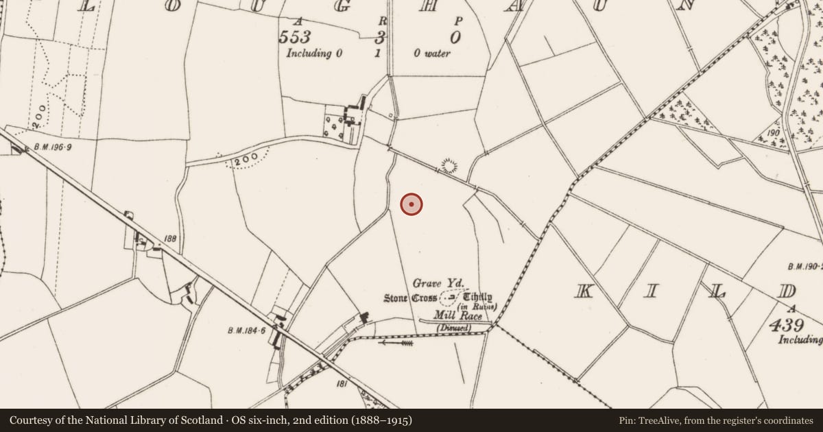 Ordnance Survey six-inch map, 2nd edition (1888–1915) covering the location of Cairn - unclassified, Loughaun, County Offaly, with a pin at the register's coordinates