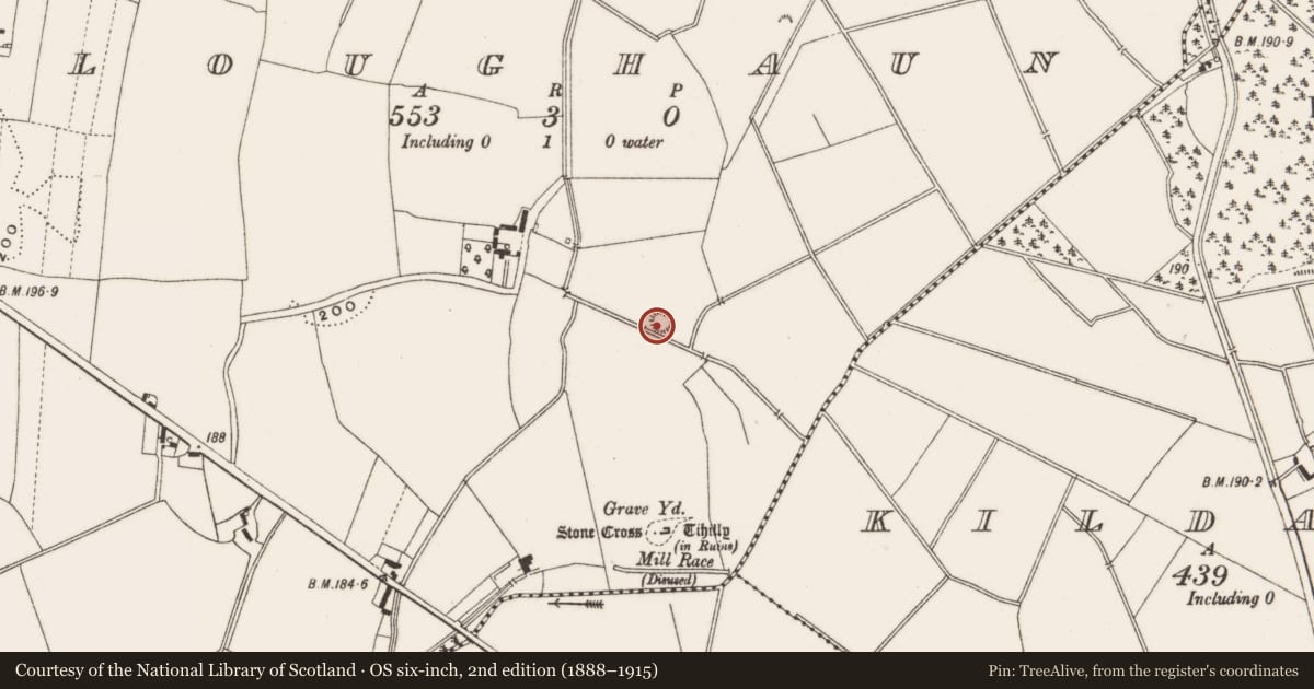 Ordnance Survey six-inch map, 2nd edition (1888–1915) covering the location of Crannog, Loughaun, County Offaly, with a pin at the register's coordinates