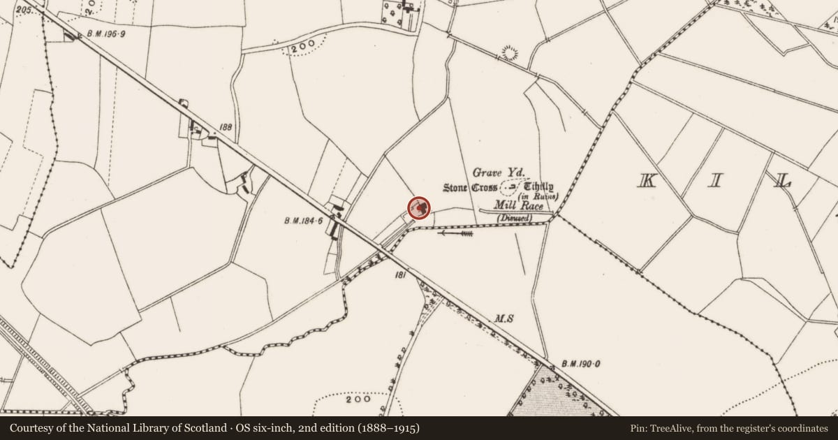 Ordnance Survey six-inch map, 2nd edition (1888–1915) covering the location of Mill - corn, Loughaun, County Offaly, with a pin at the register's coordinates