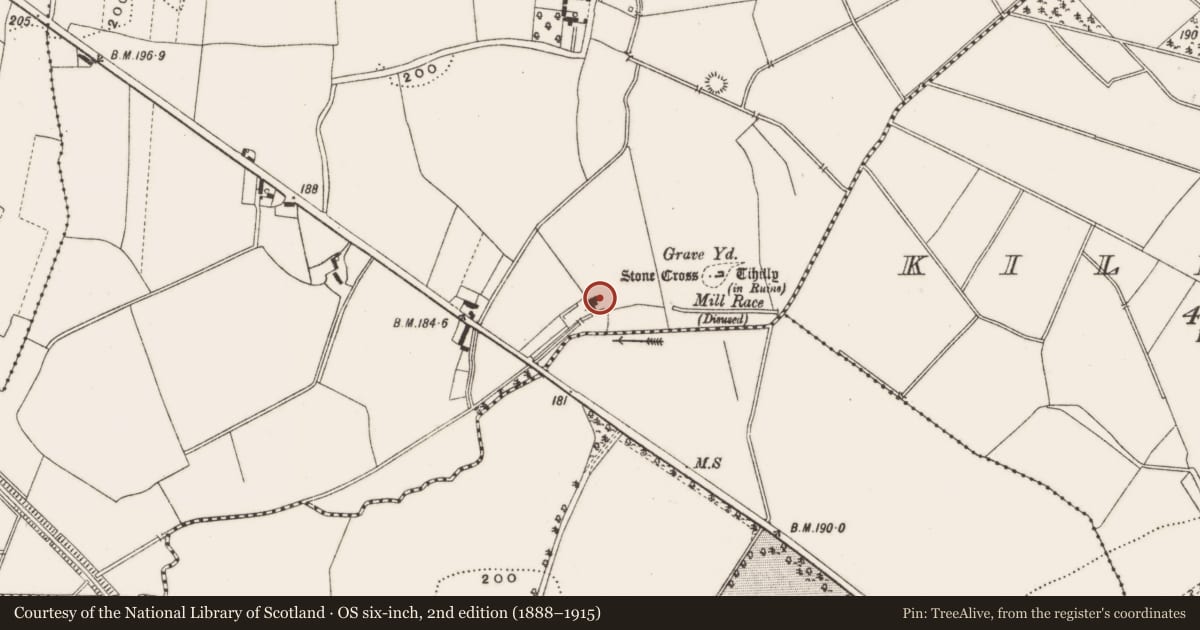 Ordnance Survey six-inch map, 2nd edition (1888–1915) covering the location of Burial mound, Loughaun, County Offaly, with a pin at the register's coordinates