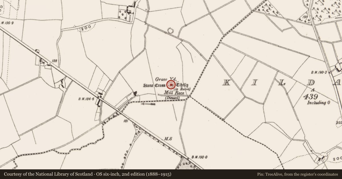 Ordnance Survey six-inch map, 2nd edition (1888–1915) covering the location of Church, Loughaun, County Offaly, with a pin at the register's coordinates